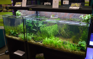 One more look at a display set up by DAS.