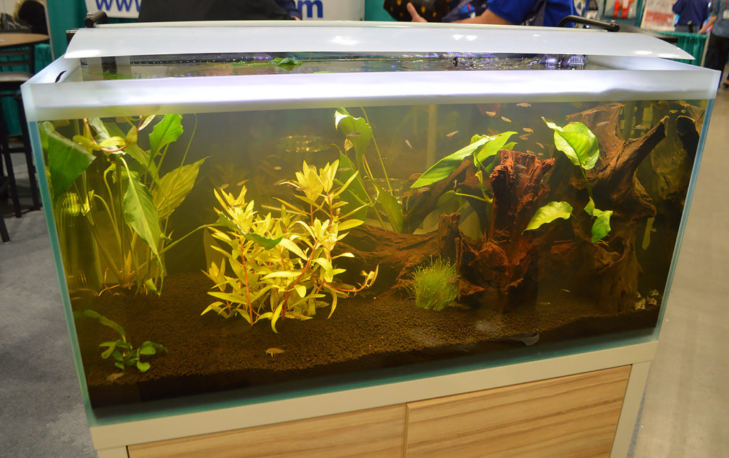 Plants and fish on display by wholesaler Apet, Inc.