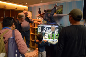 WPA's whimsical Piranha display drew crowds.
