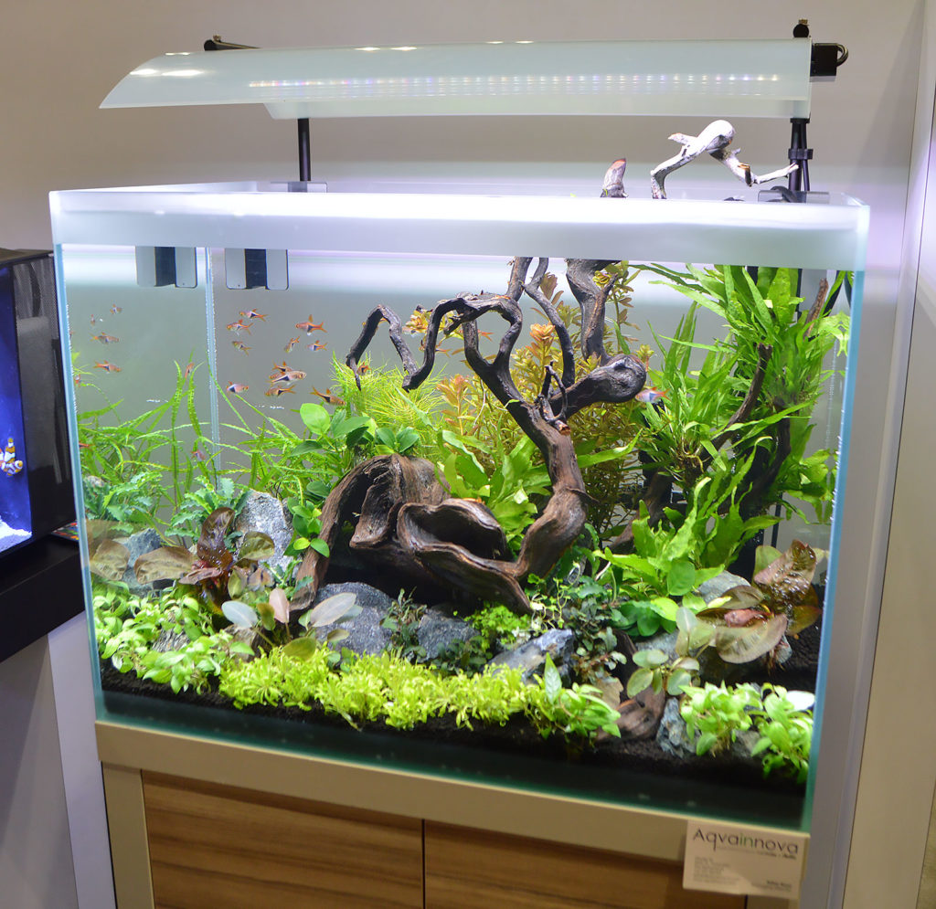 Fluval's floorspace offered up several beautiful planted aquariums. Update - we've learned that Karen Randall of the AGA can be credited with this aquascape's design.