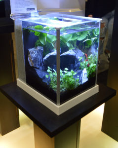 A Fluval Spec 2.6 gallon nano tank on display.
