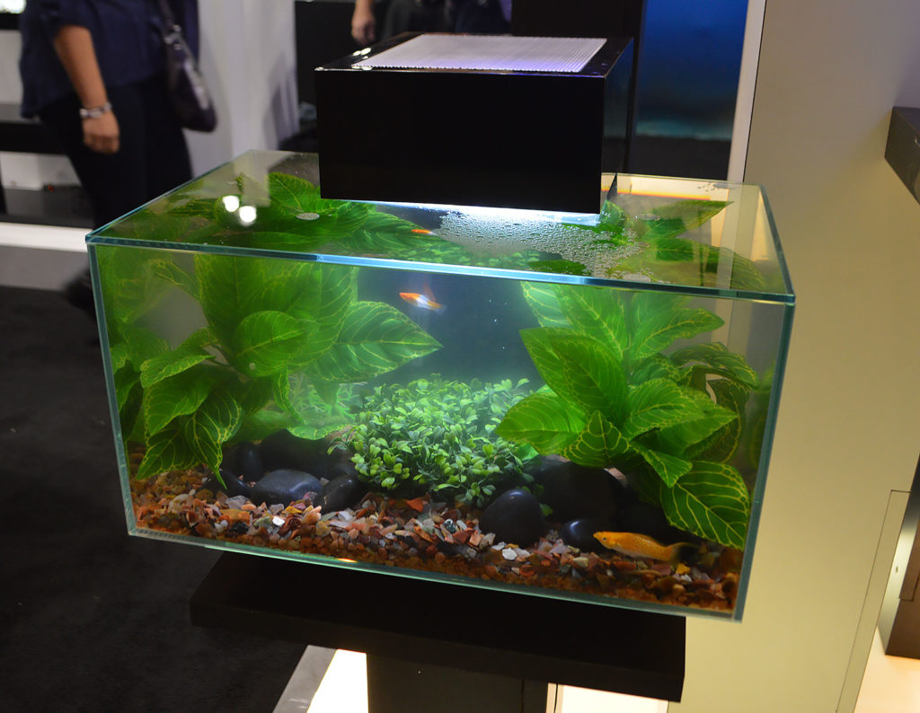 The Fluval Edge, shown here with naturally-themed artificial plant aquascaping.