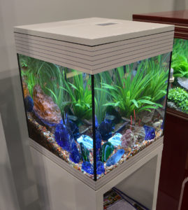 Chunks of blue glass add a twist to this otherwise naturally-themed aquarium in the Fluval booth.