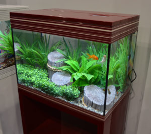 A charming goldfish aquarium on display at Fluval's booth.