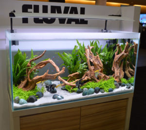 Another strongly aquascaped planted aquarium shown off by Fluval; note this is the same aquarium aquascapers used for the 2016 Aquascaping Live! competition at the show.