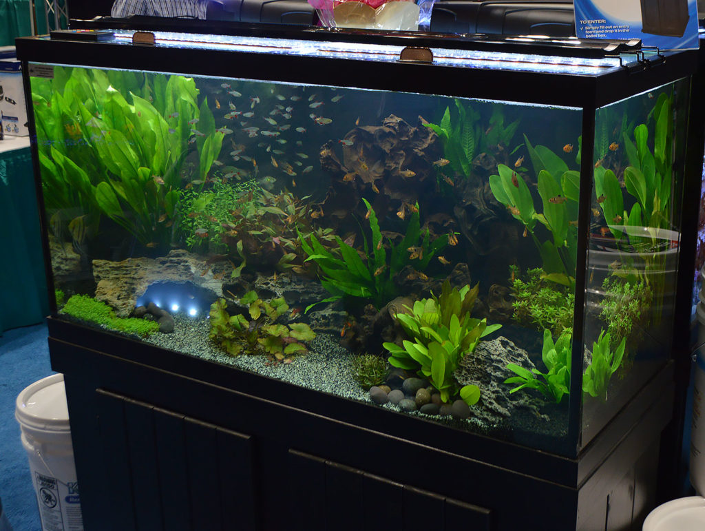 A large planted aquarium at the front of the Aqueon floorspace, this one set up by Old Orchard Aquarium.