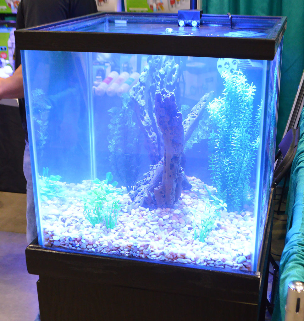 The cube style aquarium on display at the Aquatic Life booth.