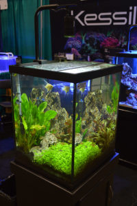 Kessil, a company probably more familiar to reef aquarium hobbyists, offered up this planted aquarium featuring Angelfish and Tetras.