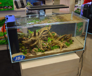 JBJ arguably "threw down" with four small, and stunning, freshwater planted aquascapes. Here's the first aquarium.