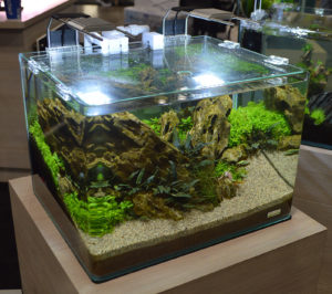 JBJ has teamed up with Dennerle and had multiple Dennerle products incorporated into their freshwater displays, such as the LED lighting and filtration on this co-branded Nano Cube / Dennerle tank.