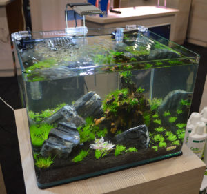 Another nano planted aquarium from JBJ.