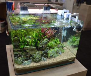 A lush, established planted aquarium again featuring Dennerle components as part of JBJ's display.