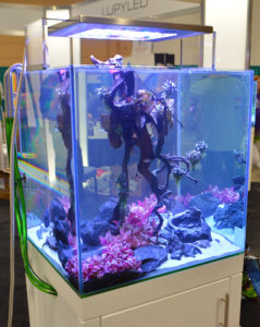 Aqvainnova and LUPYLED shared a joint display and had well known aquascapers Luis Navarro, Oliver Knott, and the Senske Brothers (from Aquarium Design Group) on hand to talk with attendees and provide real-time aquascaping demonstrations in the booths.