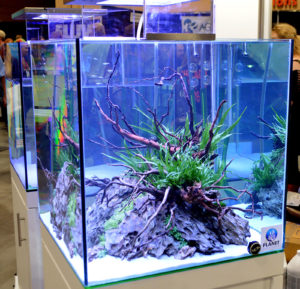 Another aquascape by ADG at the Aqvainnova/LUPYLED show floor.