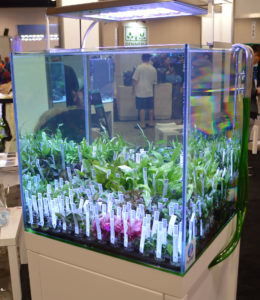 Aqvainnova also displayed this well-organized example of what a plant retail display might look like.
