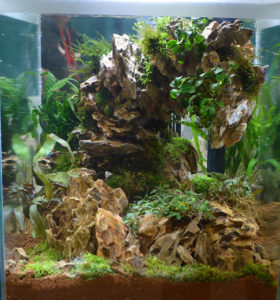 Another aquarium in the Dustin's Fishtanks booth featured this curving, arching, almost falling over leaning tower of stacked rock. It made for a very unusual and intriguing display.