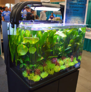 A somewhat formal-looking heavily planted aquarium was on display at the Pecan Grove Solutions booth.