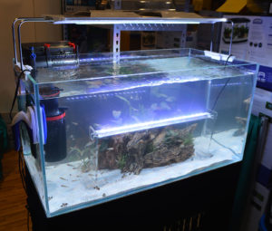 While perhaps not aesthetically very pleasing, this functional display by Ming Trading gets the point across.