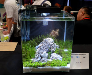 Small tank entry #1