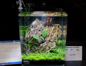 Small tank entry #3