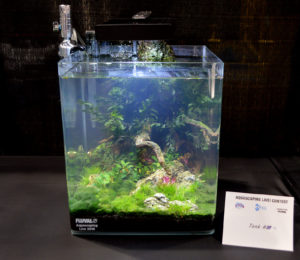 Small tank entry #4
