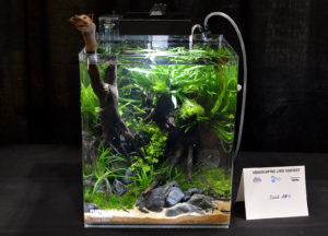 Small tank entry #8