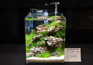 Small tank entry #12