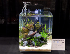 Small tank #14 was for display only.