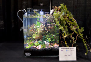Small tank entry #15