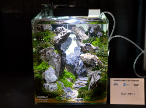 Small tank entry #17