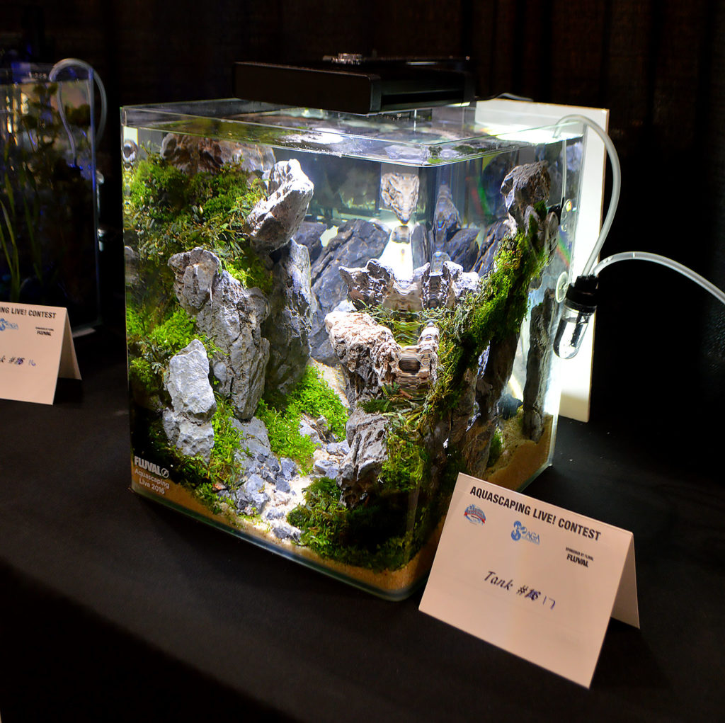 A look at the right side of the aquarium reveals the cave in the back where fish would sometimes seek refuge from the commotion of the convention floor. Image credit: Matt Pedersen