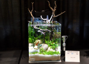 Small tank entry #19