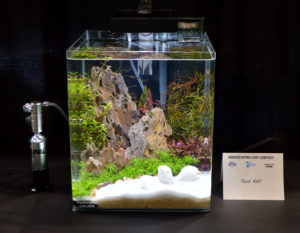 Small tank entry #20