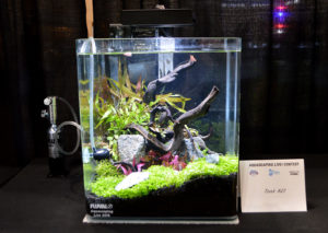 Small tank entry #21