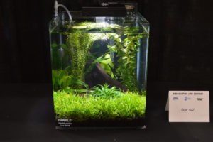 Small tank entry #22
