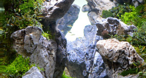 Inside a winning aquascape from the Small Tank division at the 2016 Aquascaping Live! competition.