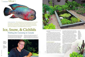 Hans-Georg Evers travels to Winnipeg, Manitoba, Canada, into the fishroom of rare cichlid breeder Jim Cumming. Read more in "Ice, Snow, & Cichlids".