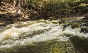 The fast-moving, clearwater creeks of Cambeua are a surprising departure from "typical" Rio Negro habitat