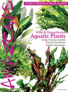 AQUATIC PLANTS - the May/June 2012 issue of AMAZONAS Magazine