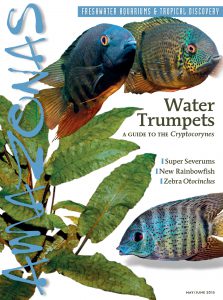 WATER TRUMPETS - the May/June 2015 issue of AMAZONAS Magazine