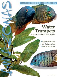 WATER TRUMPETS - the May/June 2015 issue of AMAZONAS Magazine