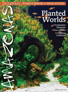 PLANTED WORLDS - the March/April 2016 issue of AMAZONAS Magazine