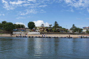 The picturesque beach town of Alter do Chao is a popular weekend destination for locals and surrounded by equally beautiful aquatic habitat