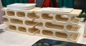 Large white 5-hole pleco condos on display at the Aquatic Experience, 2016.