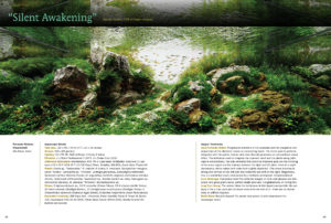 "Silent Awakening" aquascape by Fernando Boturao Francischelli of São Paulo, Brazil. Class Winner in the 2015 AGA International Aquascaping Competition