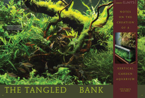 The Tangled Bank: Notes On The Creation Of A Vertical Garden Aquarium, by Steve Waldron, Aquarium Zen