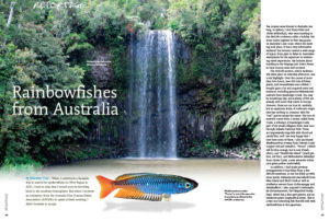 When Johannes Graf received an invitation from the Australia New Guinea Fishes Association (ANGFA) to speak at their meeting, he took the opportunity to travel Australia, collecting rainbowfishes, with the goal of introducing many new varieties to the aquarium hobby.