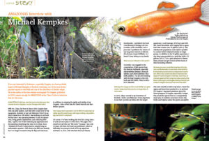 If you are interested in livebearers, especially Guppies, you have probably heard of Michael Kempkes of Bocholt, Germany, one of the most distinguished experts in this field and one of the describers of Poecilia wingei. He is the author of the two-volume monograph The Guppies, published in 2010—reason enough for AMAZONAS writer Claus Osche to interview him for this issue.