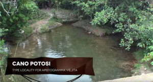 Ready to dive into the the Cano Potosi?