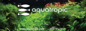 brought to you by AquaTropic